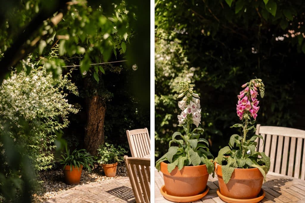 32 Verspronckweg 100 Haarlem