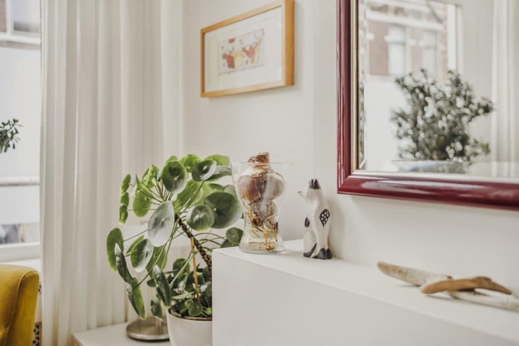 Tetterodestraat 41_006