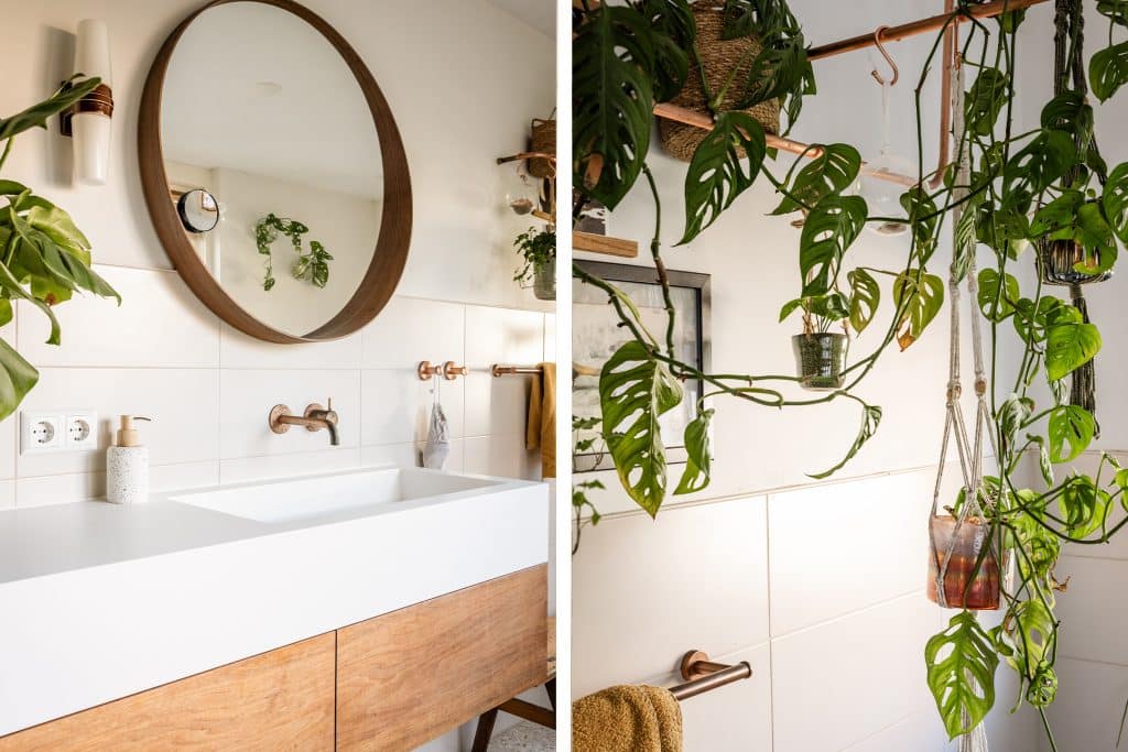 48 Coornhertstraat 14 Haarlem