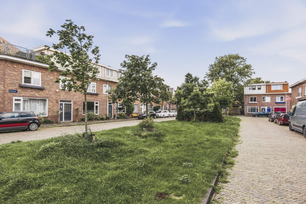 Rijnstraat 56_050